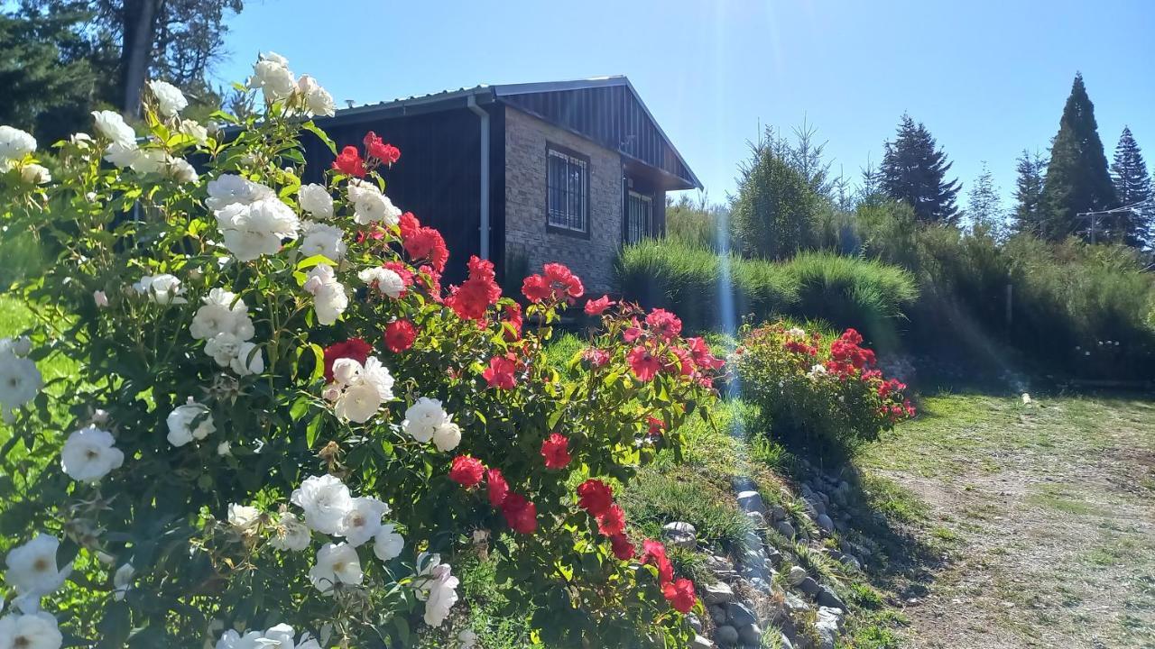 Вілла Llanten Del Trebol Сан-Карлос-де-Барілоче Екстер'єр фото